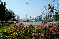 jakarta